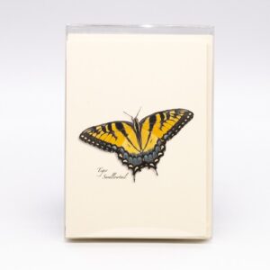 Notecards With Nature Designs - Butterfly